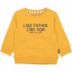 STACCATO Felpa Dark Curry