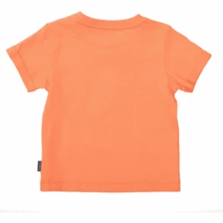 Staccato Maglietta Apricot -About You Moda Negozio staccato maglietta apricot a355994 3